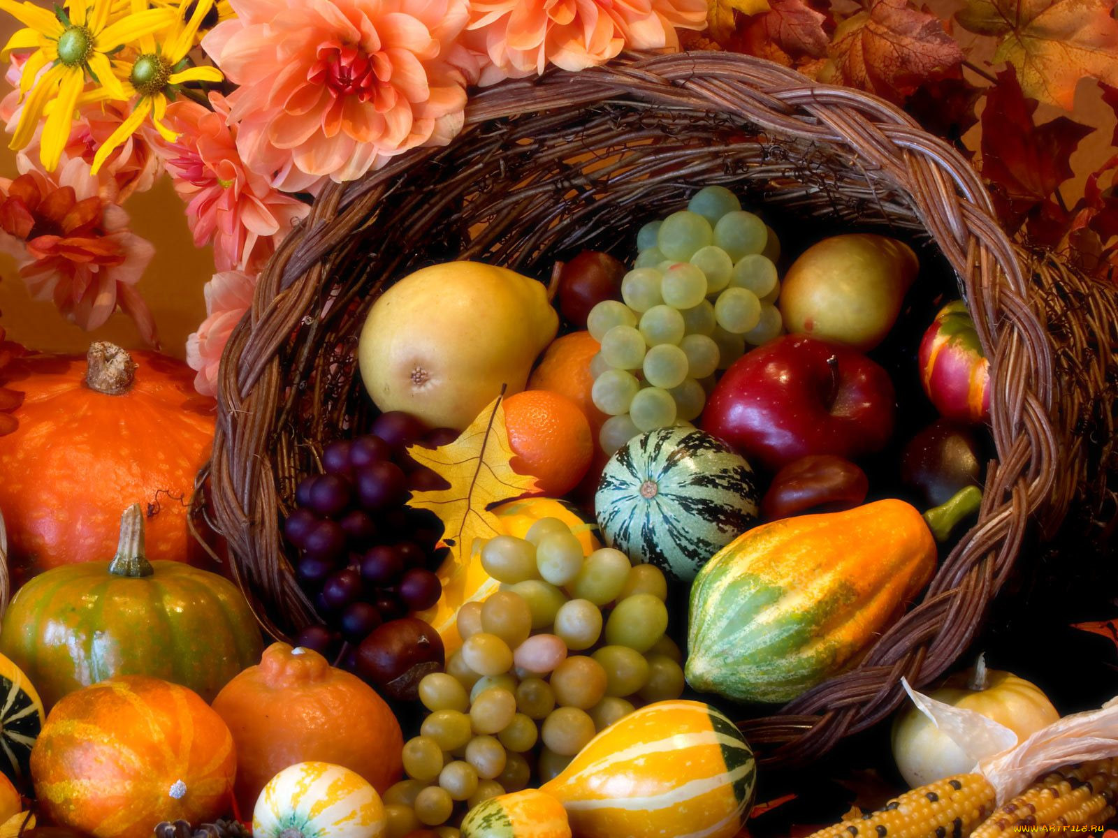 Осенние овощи и плоды
